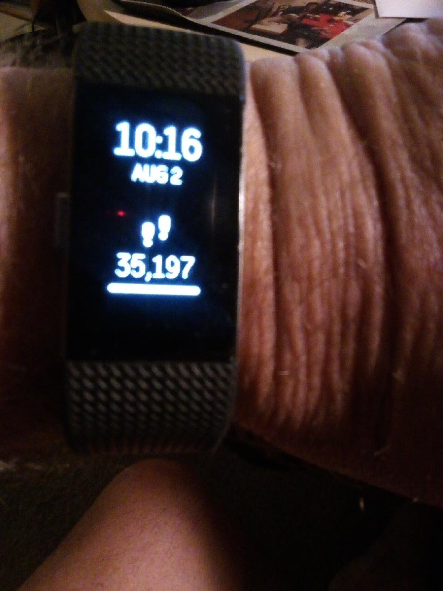 TooFred's tweet photo. #Fitbit for Sunday, August 2:
35,197 steps / 15.4 miles / 4,341 calories burned https://t.co/uwaOukdqUZ