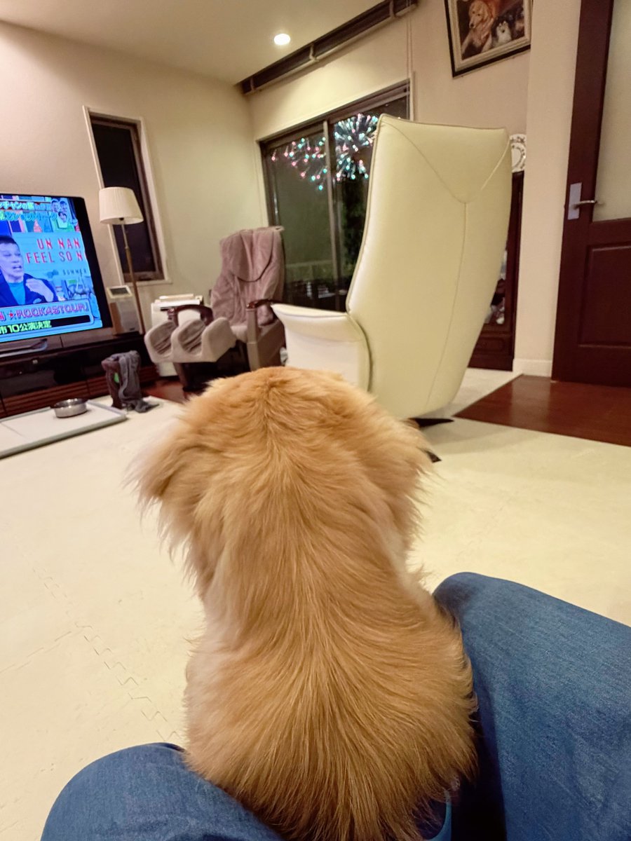 tpxxDOG's tweet photo. はぢめての恐怖⭐︎花火大会（逃げ場がない…） https://t.co/45iFVZKKXD