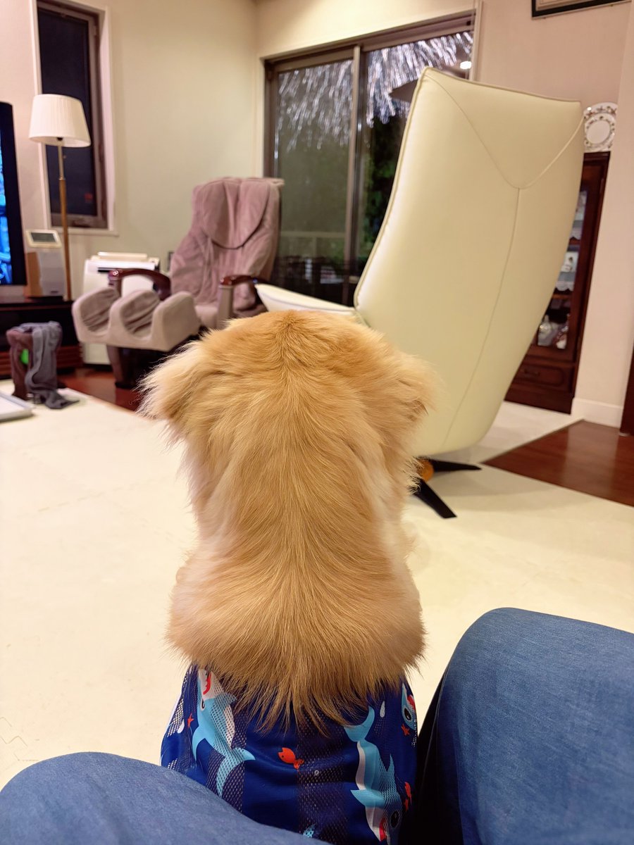 tpxxDOG's tweet photo. はぢめての恐怖⭐︎花火大会（逃げ場がない…） https://t.co/45iFVZKKXD