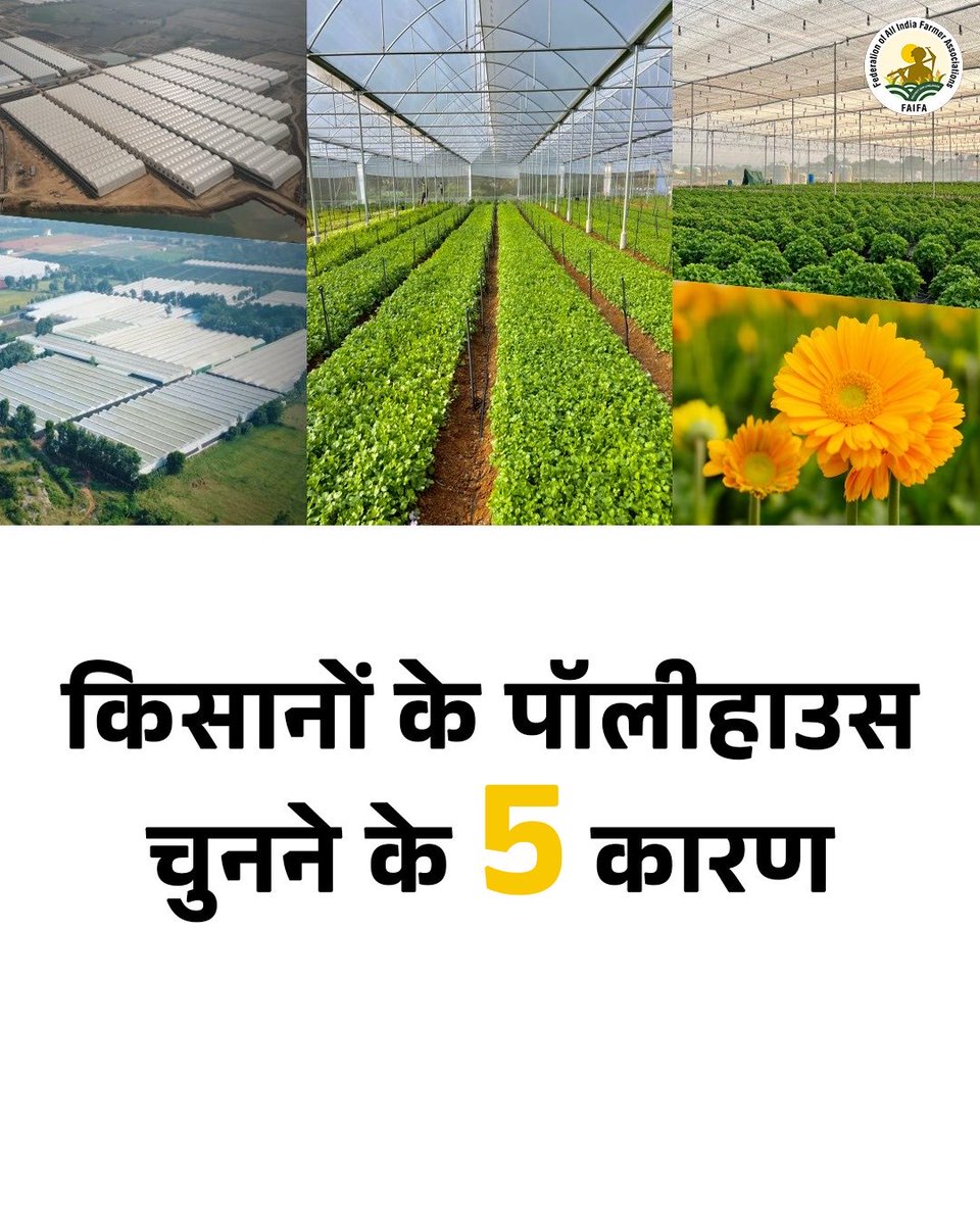 FAIFA_Official's tweet photo. पॉलीहाउस से बेहतर क्वालिटी की उपज मिल सकती है, फ़सलों को खराब मौसम से बचाया जा सकता है, सही हालात में कई बार फ़सल उगाई जा सकती है और बेहतर मार्केट रिटर्न मिल सकता है, जिससे समय के साथ ज़्यादा कमाई की संभावना बनती है।

#FAIFA #FarmersFirst #PolyhouseFarming https://t.co/ApQ4aSnLGJ