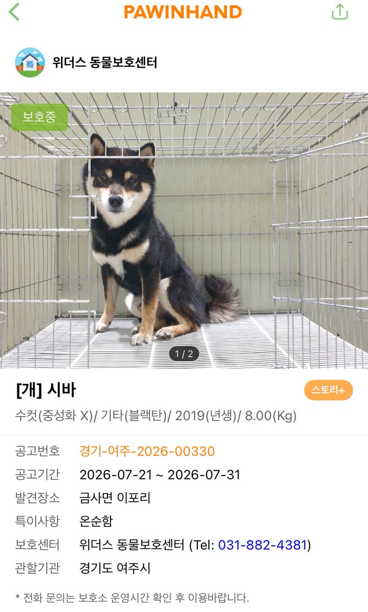findmypaw's tweet photo. 시바견도 넘쳐나는 세상인데 뭐하러 켄넬에서 분양받으시나요
사지말고 입양해주세요
공고기한 지나면 무통보 안락사되는 보호소입니다. 

신중한 입양 문의 부탁합니다.
경기 여주시 위더스 동물보호센터 031-882-4381 https://t.co/Vfp3GXLuIC