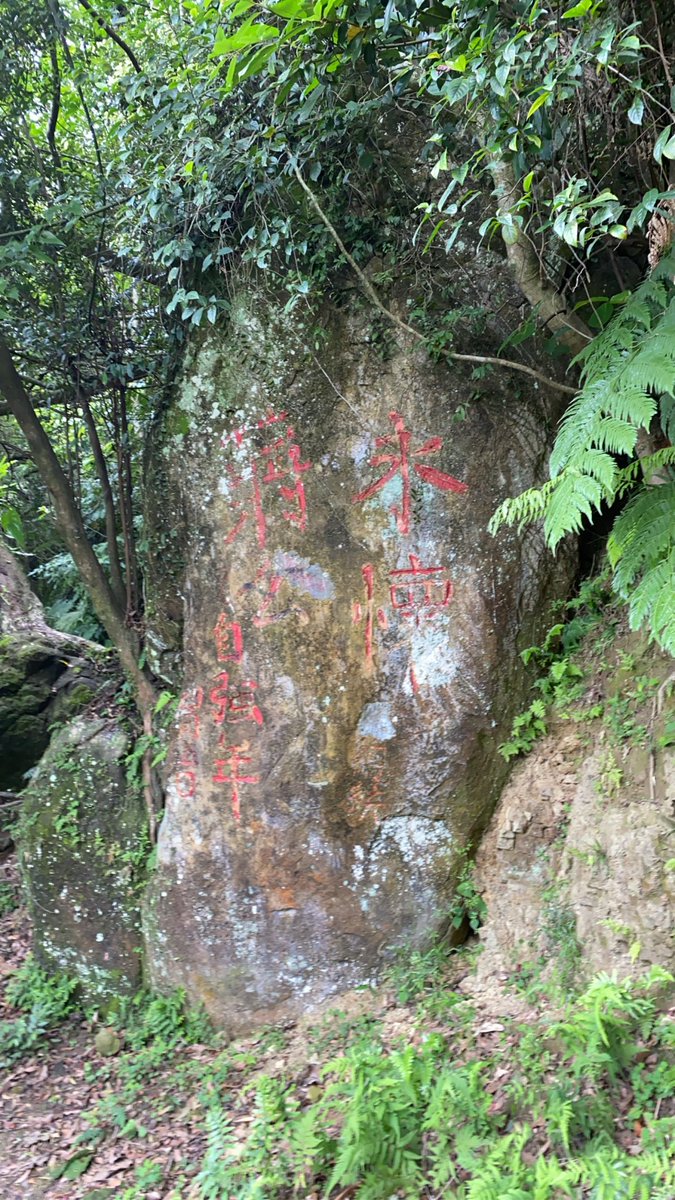 VVVIAT's tweet photo. 山林を歩く人 https://t.co/w5J6W14HVT