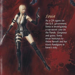 throwawau_7175's tweet photo. if I ever got like insanely cracked at 3d modeling I would make a mod of ninja gaiden 2 to make irene lew look like her nes era version because they fucked her shit up so bad man https://t.co/QAMDPhUQYG