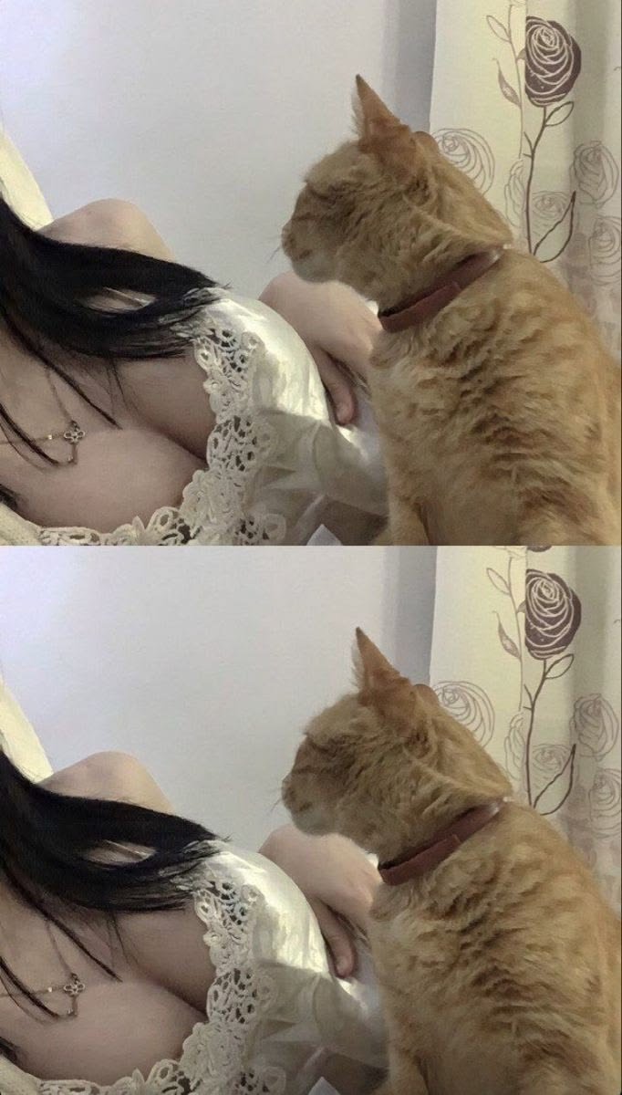 bemapdangiuu's tweet photo. Bé mèo đangiu quá🐱💞 https://t.co/0dWJmZAOjz