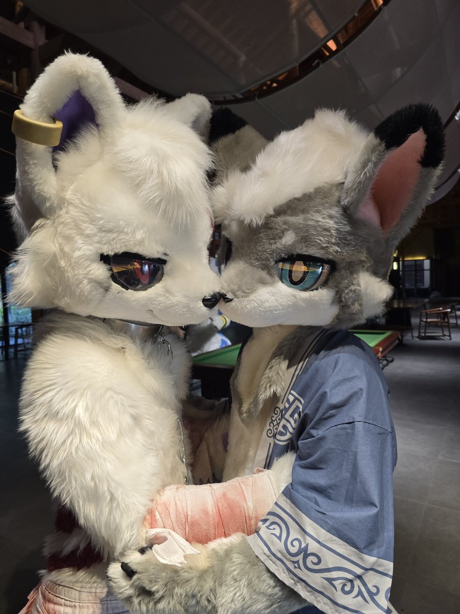 Uga0401's tweet photo. 🐺x🐺
@Narluf18_ 
#ケモノをみて今週もがんばりマンデー https://t.co/AtM6L945XI