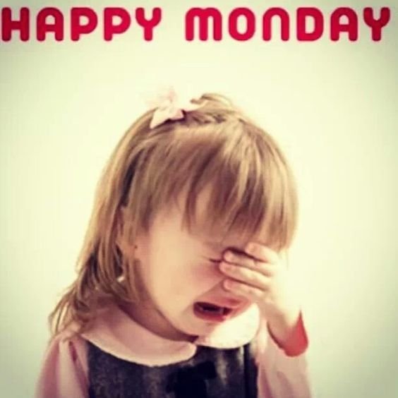 mdshamim12249's tweet photo. Happy Monday.

A fresh week, a fresh mindset, and new opportunities ahead.
Stay consistent, keep building, and trust the process. 

Wishing everyone a productive and successful week! https://t.co/wkVXI1lhlJ