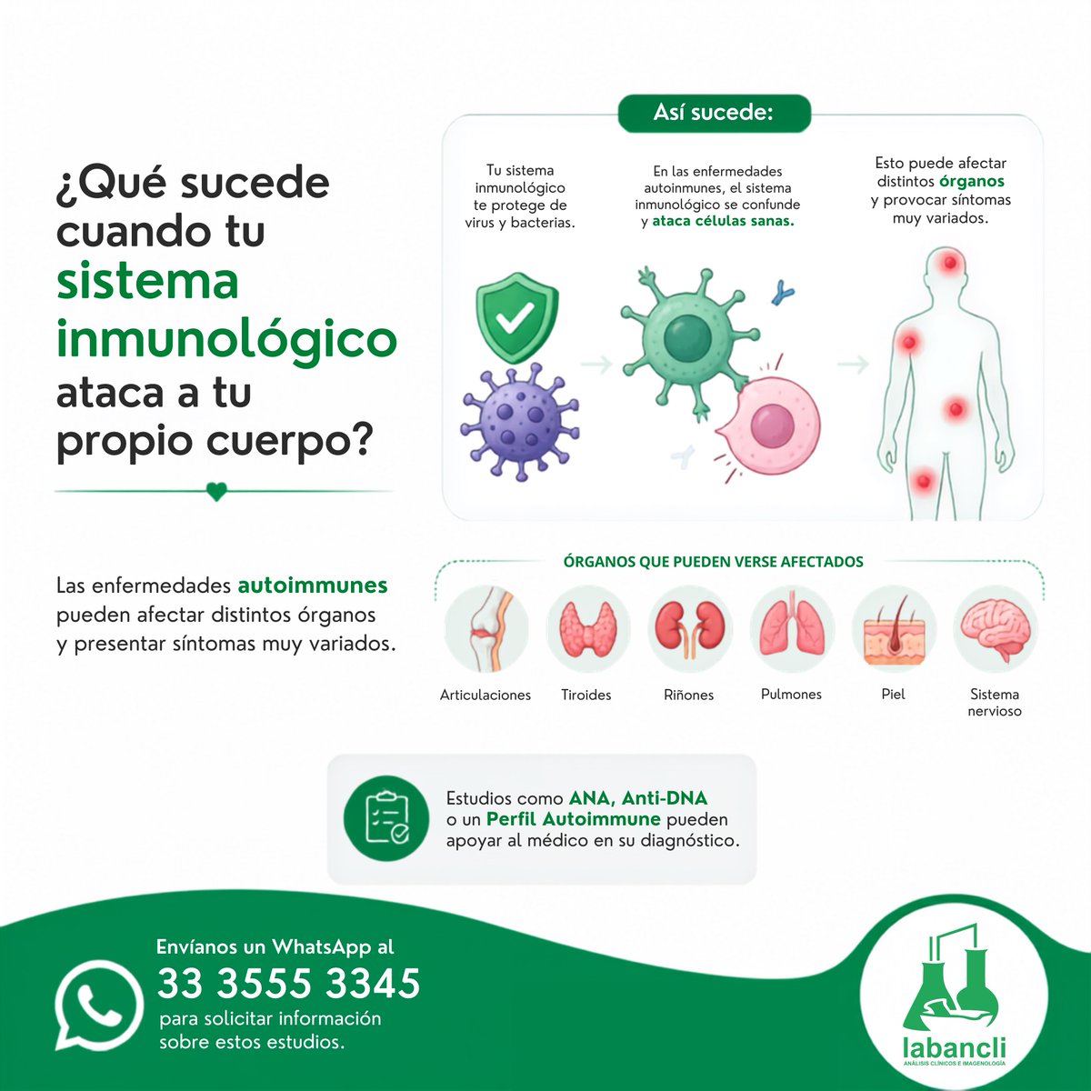 labancli's tweet photo. 🩺 ¿Qué sucede cuando tu sistema inmunológico ataca a tu propio cuerpo?

Las enfermedades autoinmunes pueden afectar distintos órganos y presentar síntomas muy variados. Estudios como ANA, Anti-DNA o un Perfil Autoinmune pueden apoyar al médico en su diagnóstico. https://t.co/KGRxKqWbF7