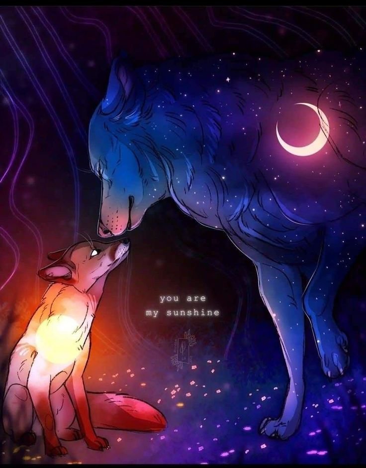 NatureAnimalw's tweet photo. https://t.co/ezyu6OaNS2