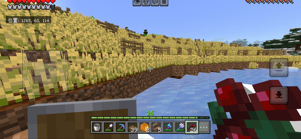 ayamocraft's tweet photo. こういう景観が好きでひたすら小麦畑つくってたけど
もしかしてこれはわき潰し効果もあるか？🤔
#マイクラ
#Minecraft https://t.co/LT4tEW3l2x