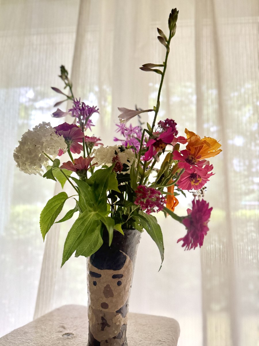 sabisaba104's tweet photo. 1.5日の弾丸帰省。持ち帰った庭の花は、一夜明けて、もう各自の立ち位置を決めていました。さ、次の帰省は長期間、準備を進めましょう。 https://t.co/TBGBxbLhKW