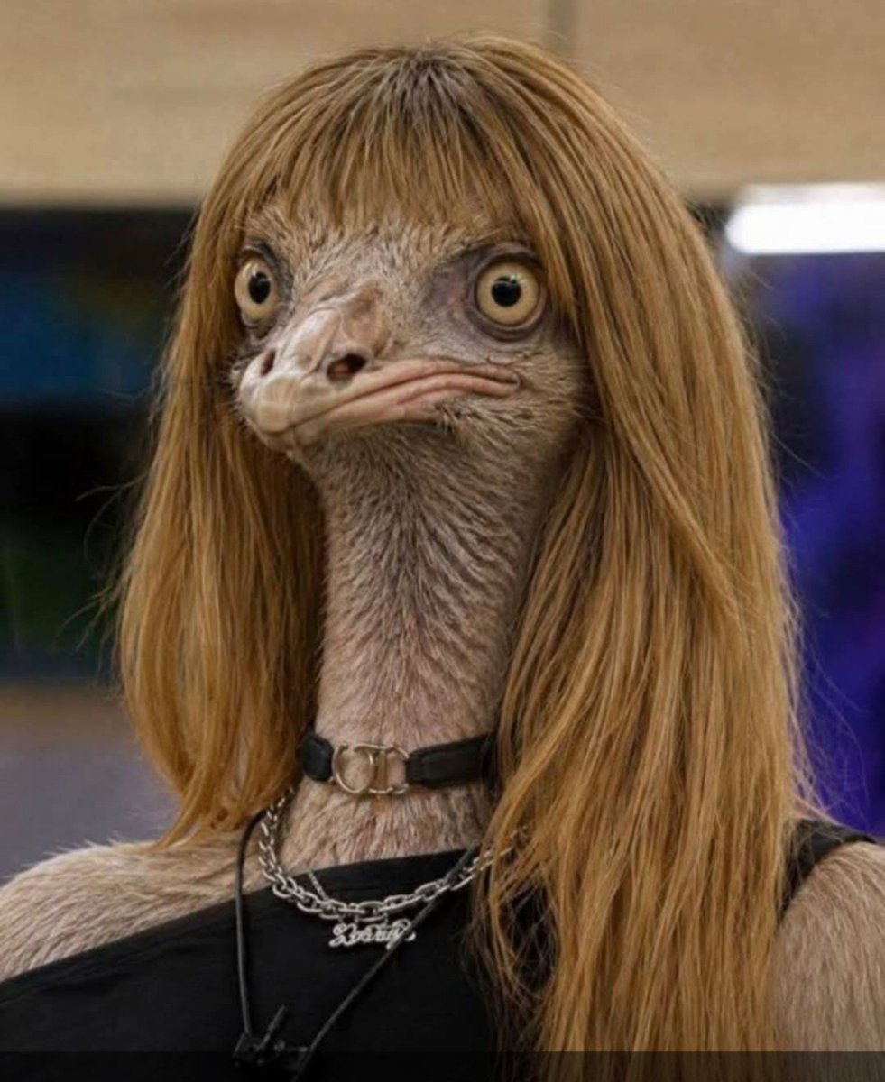 LoliJames5's tweet photo. @GranHermanoAr Solange Gómez hasta reniega de su verdadera identidad para aparentar q es high society.
Todos sabemos q es oriunda d Tucumán q no tiene nada de malo pero todos los trabajos de Sol y el glamour q ostenta se lo debe a Da Corte sin él no tuvo ni tendría nada.
#Tilinga sin corazón 🤮 https://t.co/zdkklLXrEs