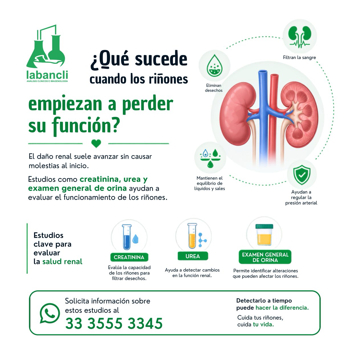 labancli's tweet photo. 💧 ¿Qué sucede cuando los riñones empiezan a perder su función?

El daño renal suele avanzar sin causar molestias al inicio. Estudios como creatinina, urea y examen general de orina ayudan a evaluar el funcionamiento de los riñones. https://t.co/oN6qhOpWNc