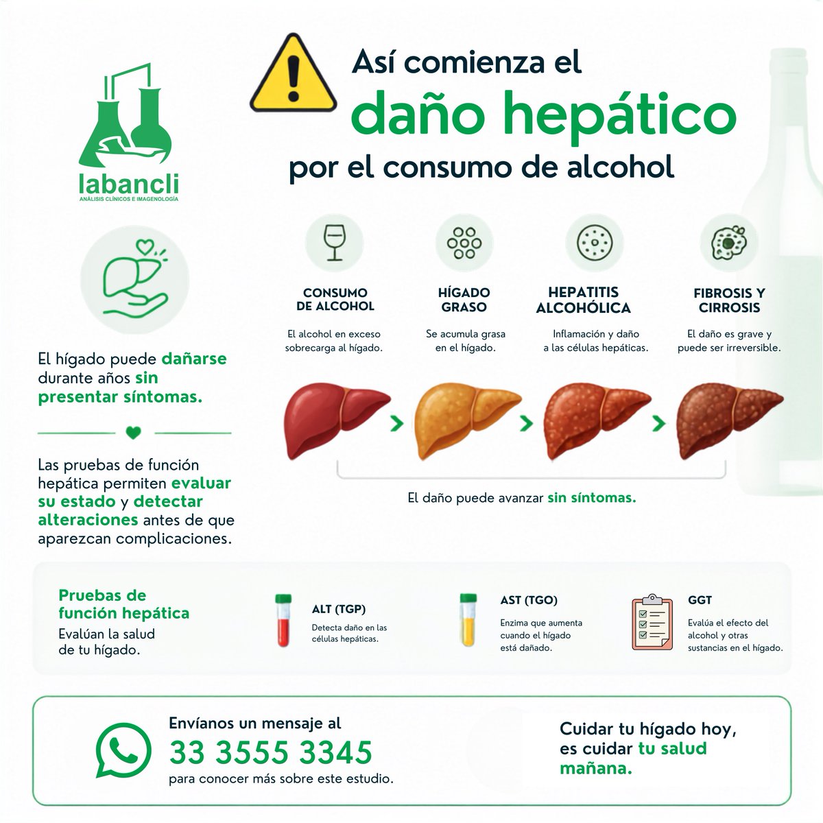 labancli's tweet photo. ⚠️ Así comienza el daño hepático por el consumo de alcohol

El hígado puede dañarse durante años sin presentar síntomas. Las pruebas de función hepática permiten evaluar su estado y detectar alteraciones antes de que aparezcan complicaciones. https://t.co/GYxge9x1CA