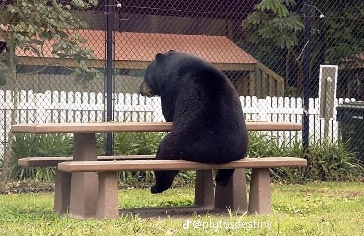 10ftcloser's tweet photo. this is how i feel https://t.co/2QYsMyfEJ5