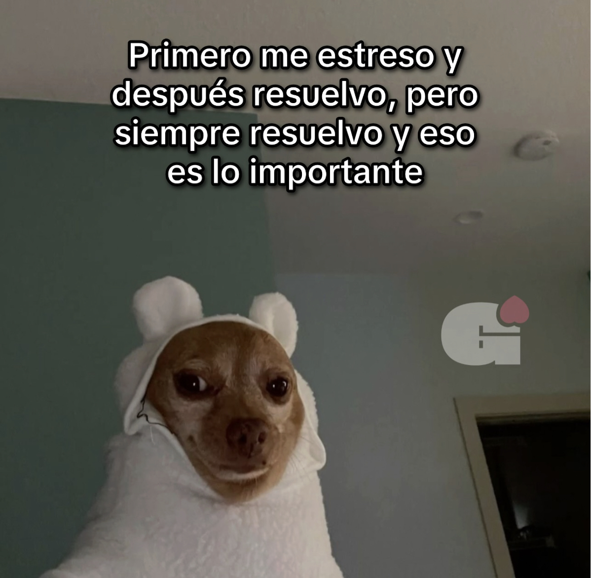 Guarromantico_'s tweet photo. En efecto. https://t.co/6DzW4IWjgK