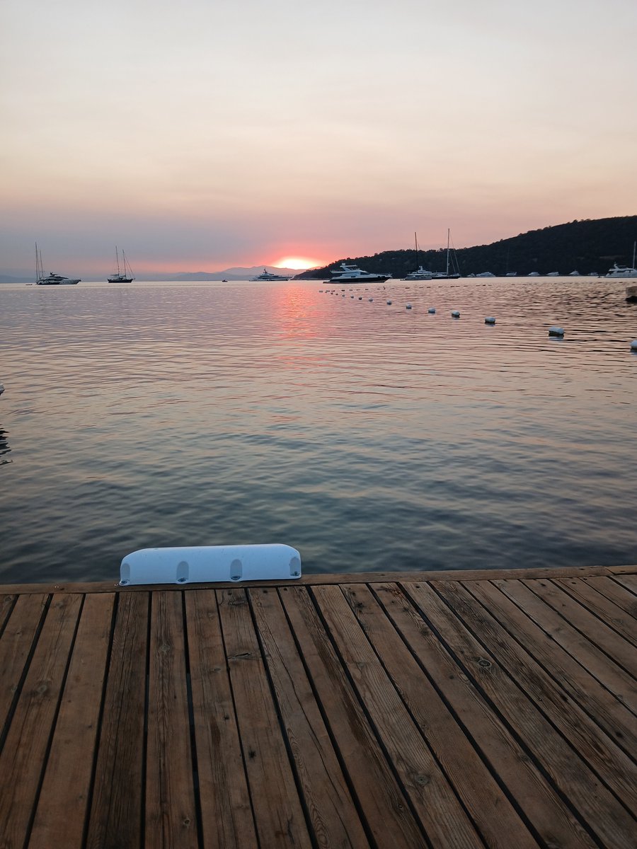 k_bodrumlu's tweet photo. Umudumuzu yitirmeden dik durmaya devam edeceğiz.

#günaydın

#Bodrum

#emekli

#Çölyaklılarmağdur

#SokakHayvanlarıSahipsizDeğil https://t.co/pDYn0Ym672