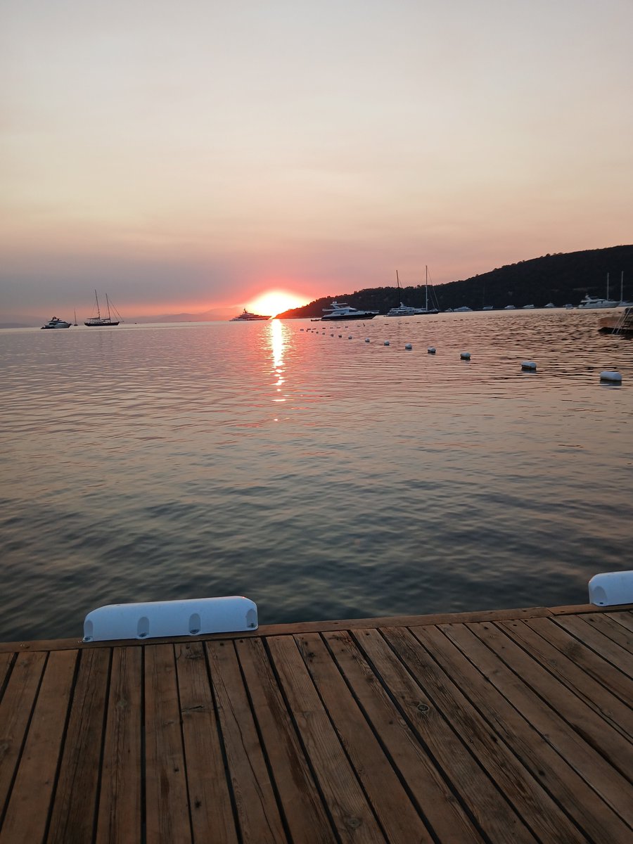 k_bodrumlu's tweet photo. Umudumuzu yitirmeden dik durmaya devam edeceğiz.

#günaydın

#Bodrum

#emekli

#Çölyaklılarmağdur

#SokakHayvanlarıSahipsizDeğil https://t.co/pDYn0Ym672