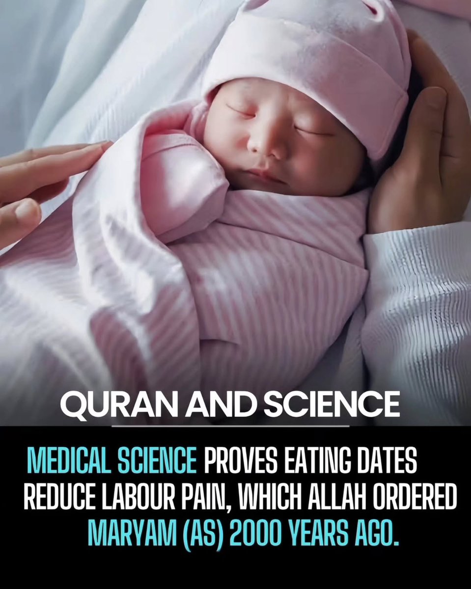 Cool_Ustaz's tweet photo. SubhanAllah, modern research continues to uncover the wisdom behind Allah's guidance.

In the final weeks of pregnancy, eating dates may help make labor easier. They're rich in natural sugars that provide quick energy, high in fiber, potassium, and magnesium to support muscle function, and contain compounds that may promote more effective uterine contractions. Studies have also found that women who regularly eat dates in late pregnancy often experience shorter labor and are less likely to require medical induction.

More than 1,400 years ago, Allah highlighted this benefit in the Qur'an. During the labor of Maryam (Mary), she was instructed:

"Shake the trunk of the palm tree toward you; it will drop upon you ripe, fresh dates. So eat, drink, and be comforted." (Qur'an 19:25–26)

A beautiful reminder that the Qur'an is not a book of science, yet when it speaks about the natural world, its guidance is profound and continues to inspire reflection.