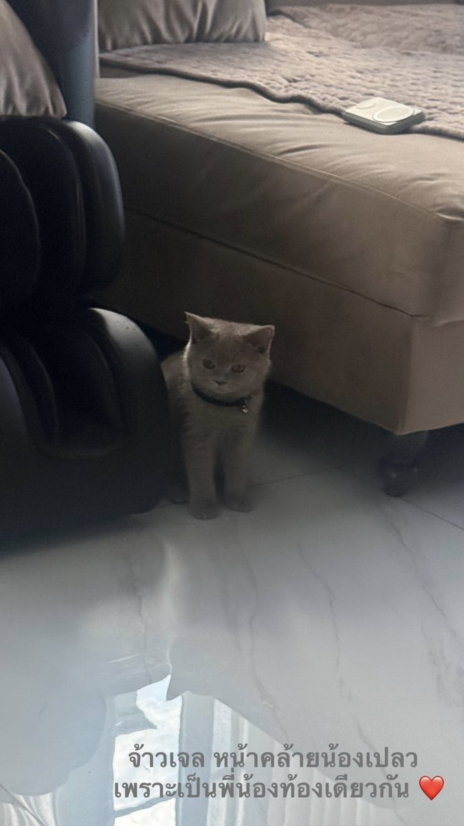 btwnstarnwave's tweet photo. khun mae ran said n'plew kham and n'khao gel are actually siblings 🥺🤎🩶

#จุงอาเชน #JoongArchen @ChenRcj https://t.co/rwc2REWGHe