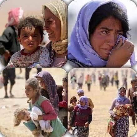 hasan35117574's tweet photo. Birîna dılê me, Komkujîya Şengalê...

#ŞengalKatliamı
#KomkujîyaŞengalê https://t.co/FAtFZIGfEI