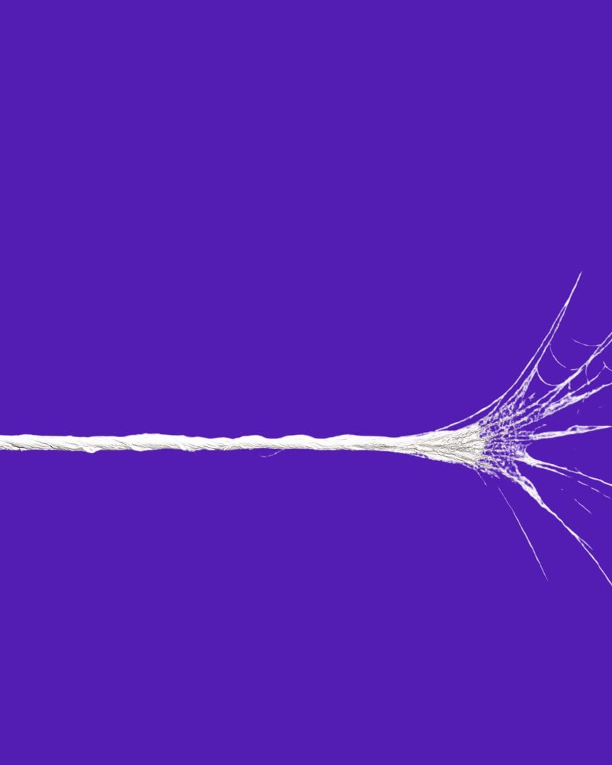 cubixsphere's tweet photo. Your brand deserves to be seen. 🚀

From social media management to branding, graphics, video editing, paid ads, and content management, Cubix Sphere helps businesses grow online.
Swipe through and let's build something amazing together.

 💜 #CubixSphere #DigitalMarketing https://t.co/gOncYWHNAv