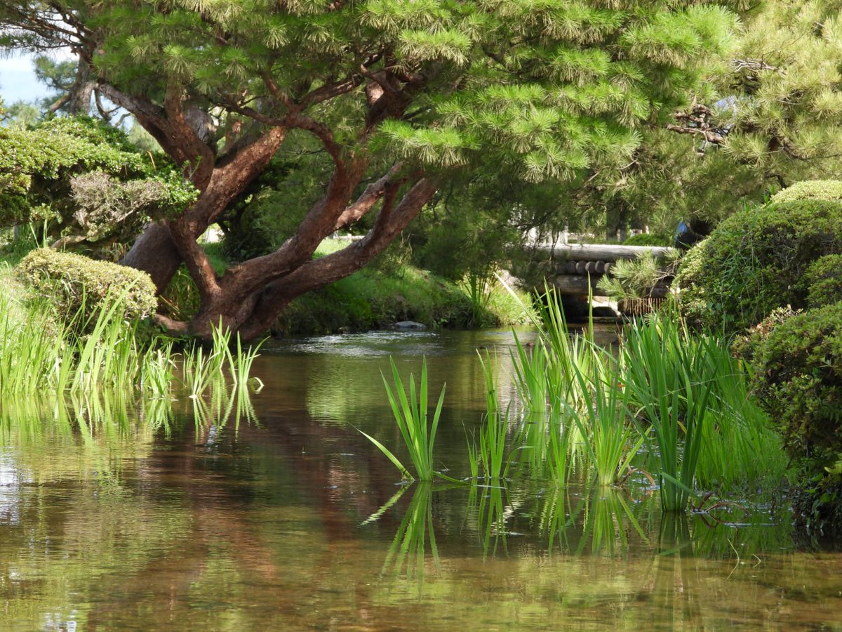 Vilmanoi's tweet photo. 毎年恒例の金沢
毎年兼六園に来てる https://t.co/rfe3mfxch2