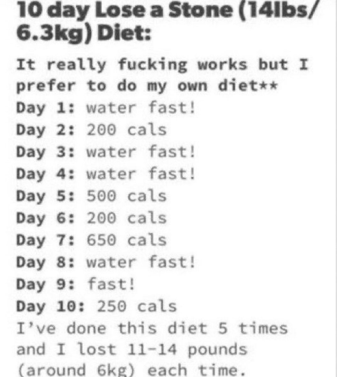 sbluellaaa's tweet photo. Starting this cause i need to lock tf in and it seems healthier i guess. After the 10 days i will go back to og plan https://t.co/oBkfyvY8zk