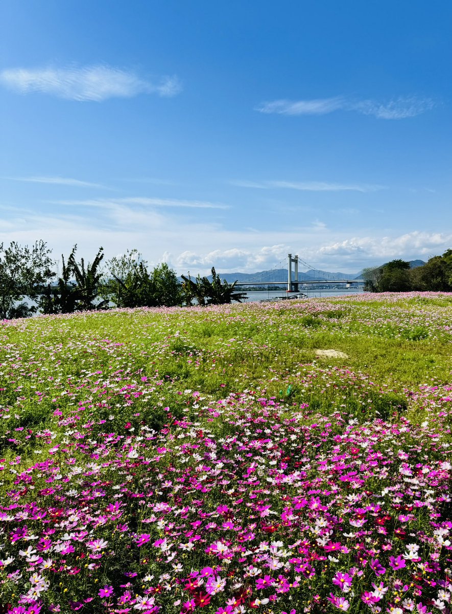 haiwei0567's tweet photo. 今年の夏はとても暑いです。
#摄影 #旅行 #日常 #生活 #风景 #随手拍
#travel #life #Scenery #daily #Photography 
#旅行する #風景 #写真を撮る #しゃしん https://t.co/1DY8ZX19zX