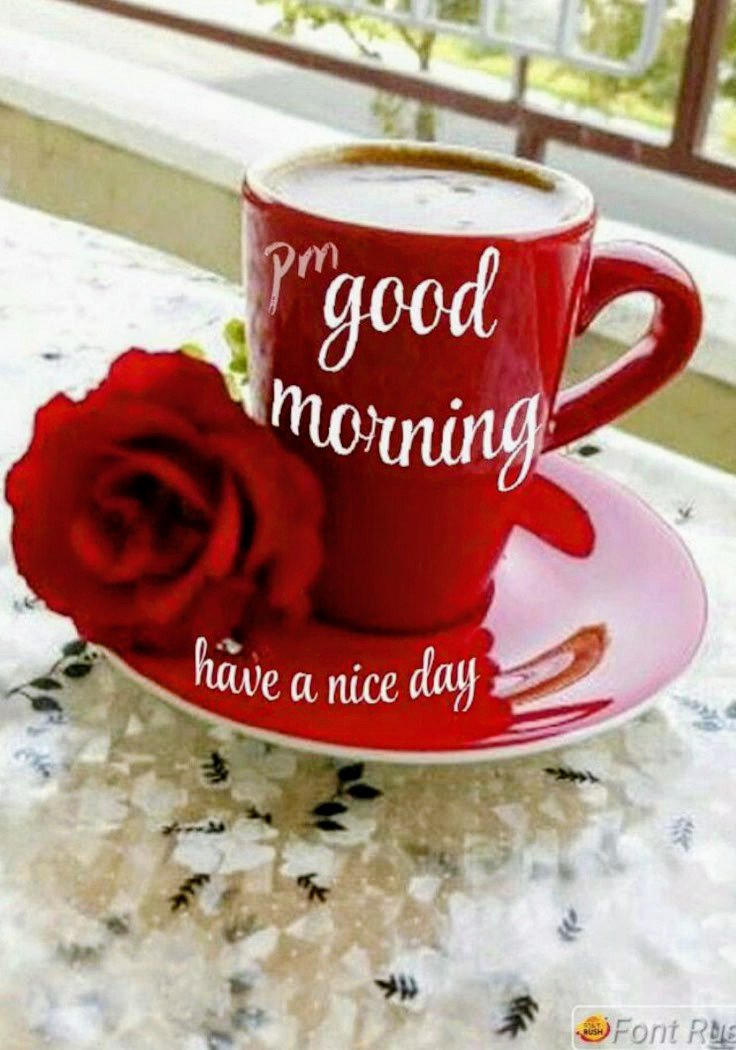 RobiChakra3586's tweet photo. To my all friends 🧡 with lost of love ❤️ and happiness in their life 💖 নমস্কার namaste 🙏 https://t.co/No0Hb6CDdK