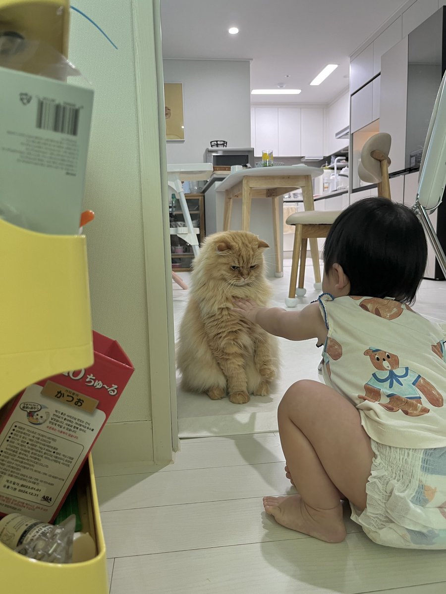 tw789520's tweet photo. 퐁실이와 통실이 https://t.co/7AfPxHxAMr