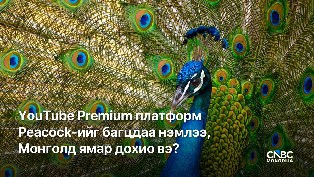 cnbcmongolia's tweet photo. Олон аппд тусдаа төлөх биш, нэг дороос контент авах өрсөлдөөн эхэллээ. NBCUniversal, YouTube-ийн шинэ гэрээгээр 2027 оны эхнээс АНУ-ын YouTube Premium хэрэглэгчид Peacock Premium-ийг огт нэмэлт төлбөргүй үзэх боломжтой болно. YouTube Premium-ын сарын үнэ 15.99 ам.доллар хэвээр үлдэх юм.

Энэ бол стримингийн өрсөлдөөн “хэн хамгийн олон контенттой вэ?” гэдгээс “хэн бүх контентыг нэг дор багцлах вэ?” гэсэн шатанд шилжиж буйн дохио болж байна.

Монголын үзэгчдэд уг багц шууд хамаарахгүй. Peacock одоогоор зөвхөн АНУ болон тус улсын зарим нутаг дэвсгэрт ажилладаг. Харин Монголын стриминг, телевиз, үүрэн холбооны компаниудад өгч буй дохио тодорхой: хэрэглэгч олон аппд тусдаа төлөхийг хүсэхгүй бөгөөд нэг төлбөр, нэг платформ, олон контент хүсэж буйн илэрхийлэл болж байна.