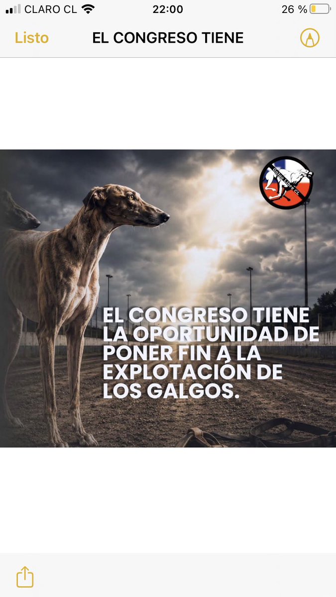 gloriabaettig's tweet photo. 🚨🚨🚨 @Camara_cl Hoy es el día en que los Honorables pueden Demostrar que No quieren más Explotación,Dolor en Seres Vivos por lo tanto el Único Camino es
#ProhibirLasCarrerasDe Galgos‼️para sentir que en Chile se Respeta su Gente y Da Dignidad a sus Animales 🙏 que así sea 👇 https://t.co/IQjXz6hNBN