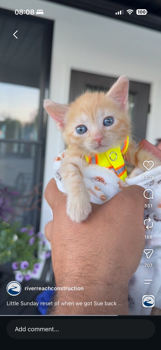 SUEwithHat's tweet photo. UPDATE: $Sue is here to stay 🐱👷

https://t.co/NlHSGmIeb0 https://t.co/FF8Y98Sf35