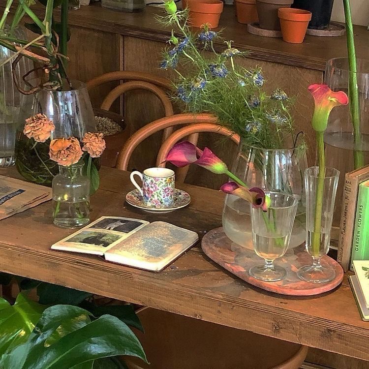 girldreamhouse's tweet photo. flowers https://t.co/DGJD6DEIdP