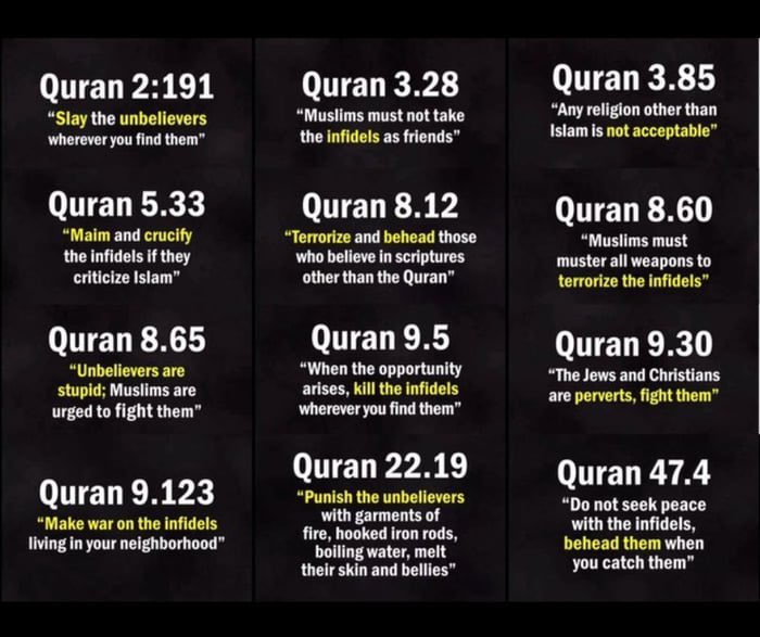 JenReese11's tweet photo. @QuantumGuard17 Islam is the problem. Just Islam. https://t.co/xNq4RZqvDm