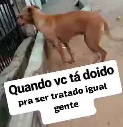 Miakii_'s tweet photo. @Love_Deepspace @Mikaela0034 BRING BACK VALKO
BRING BACK VALKO
BRING BACK VALKO
BRING BACK VALKO
BRING BACK VALKO
BRING BACK VALKO
BRING BACK VALKO
BRING BACK VALKO
BRING BACK VALKO
BRING BACK VALKO
BRING BACK VALKO
BRING BACK VALKO
BRING BACK VALKO
BRING BACK VALKO
BRING BACK VALKO
BRING BACK VALKO https://t.co/qCj4xTU8NH