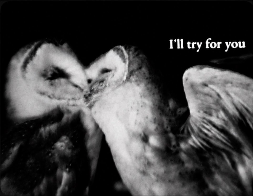 xstfly's tweet photo. https://t.co/XIlsXROhrz