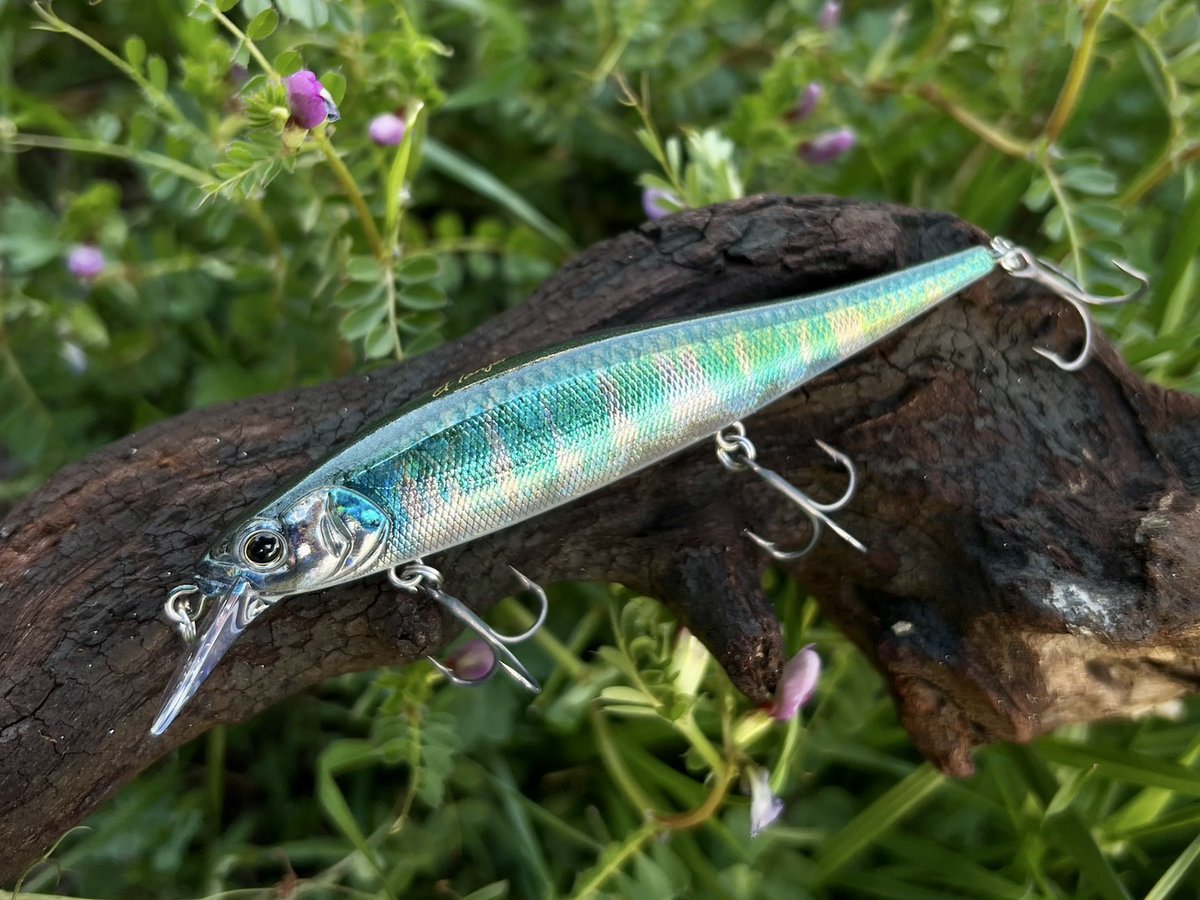 Bottomupfishinggear (@Bottomup_Inc) / Posts / X