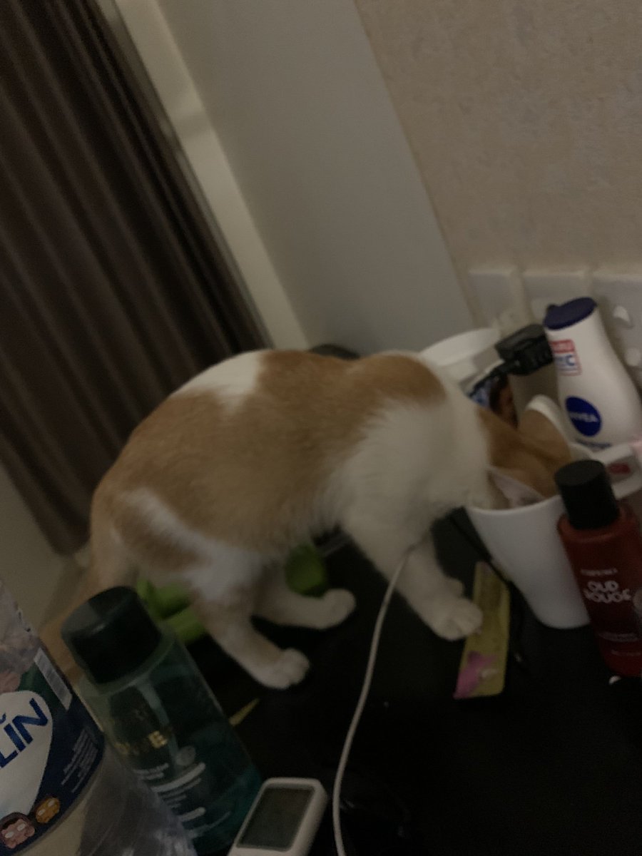 Sallymaxmixmux's tweet photo. Meng kamar sebelah nyosor ke kamar gw guys, lagi ditinggalin ke kampus ceunah https://t.co/OhJ8HS4fdQ