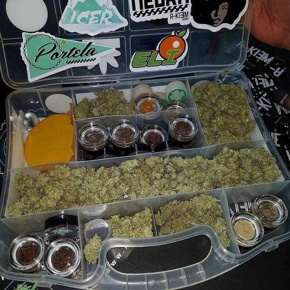 EVAuthoHub's tweet photo. Weed Denver Weed Colorado Springs Weed Aurora Weed Fort Collins Weed Lakewood Weed Thornton Weed Arvada Weed Westminster Weed Pueblo Weed Centennial Weed Boulder Weed Greeley Weed Longmont Weed Loveland Weed Broomfield Weed Grand Junction Weed Castle Rock Weed Commerce City #weed https://t.co/8WJ8jwvwFm