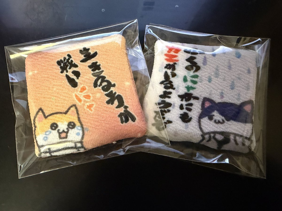 maro_ac_poche's tweet photo. 閉じ口を手縫いにしたからまぁまあ綺麗に仕上がった！
名台詞風にゃ布団。 https://t.co/NFeu9iXzyV