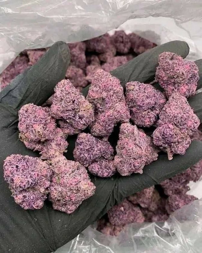 EVAuthoHub's tweet photo. New York City
Manhattan weed, Brooklyn weed, Queens weed, Bronx weed, Staten Island weed, Harlem weed, SoHo weed, Chelsea weed, Tribeca weed, Williamsburg weed, Bushwick weed, Long Island City weed.#weed 🍇🍇 https://t.co/X44Tq1Y4Gt