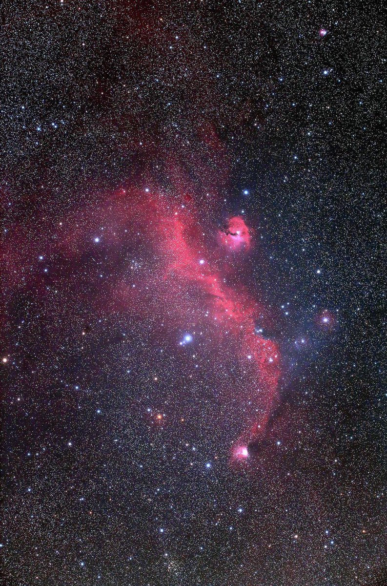 SHO75332848's tweet photo. 遠州天体写真愛好会の田代貞氏が、Askar FRA400で撮影したかもめ星雲(IC 2177)です。鳥の翼のようなドラマチックな赤いHⅡ領域を中心に、青色の反射星雲も所々にあり、カラフルな広がりが見られます 。
#Askar #FRA400 #かもめ星雲 https://t.co/A6Suuy9ccq