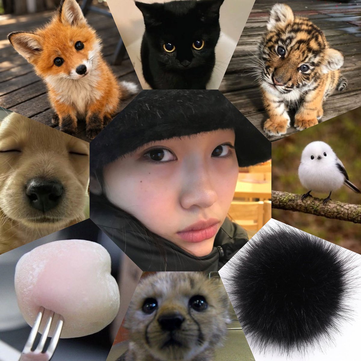 hoyeonflower's tweet photo. 정호연 갭차이 구절판 보실 분 https://t.co/b6k2Fm2WQY