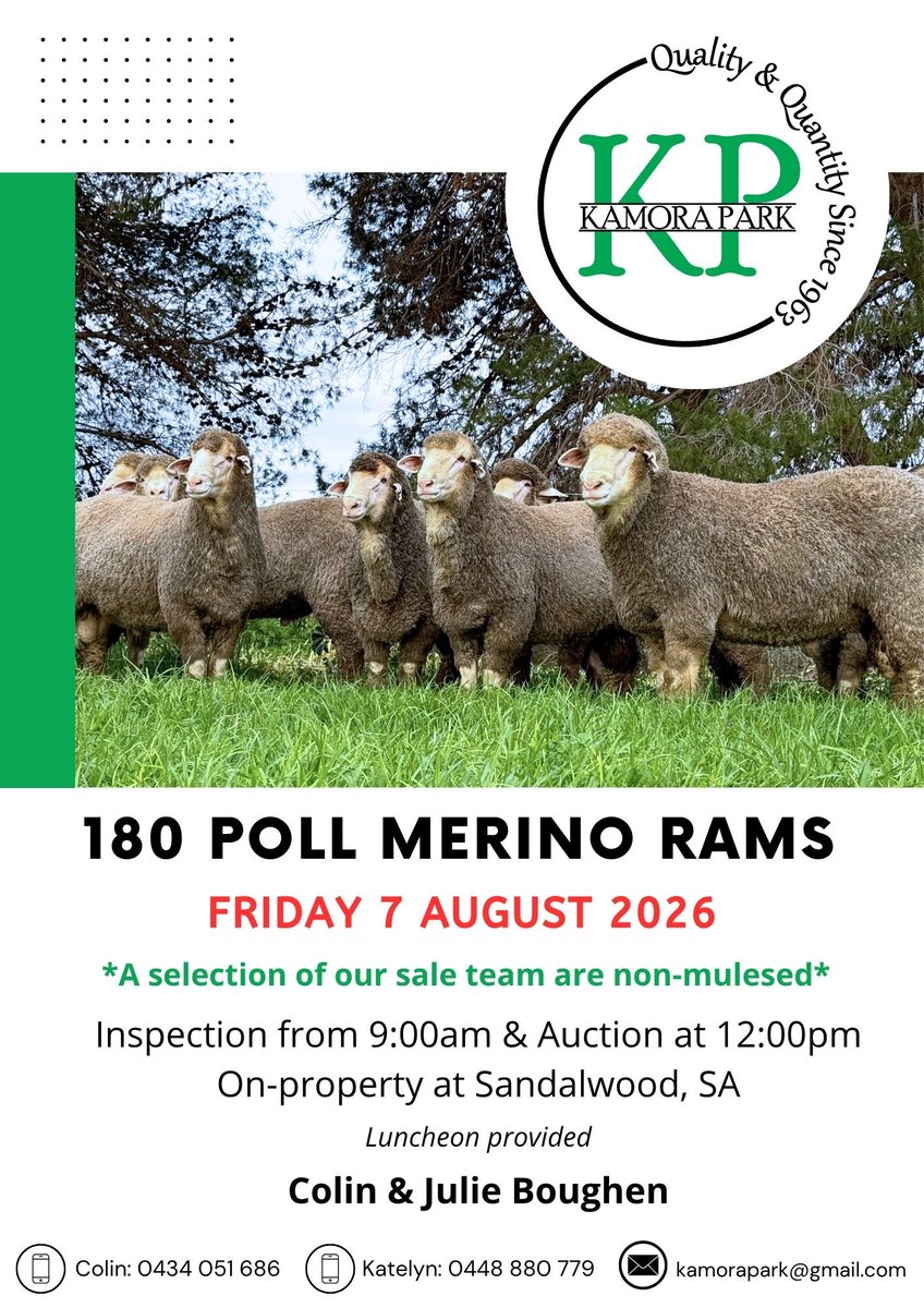 JMcInally25's tweet photo. Kamora Park Ram Sale coming up on property at Sandalwood this Friday. Give me a call for anymore info.
James McInally
0437 337 994 https://t.co/w0Myhf3hRB