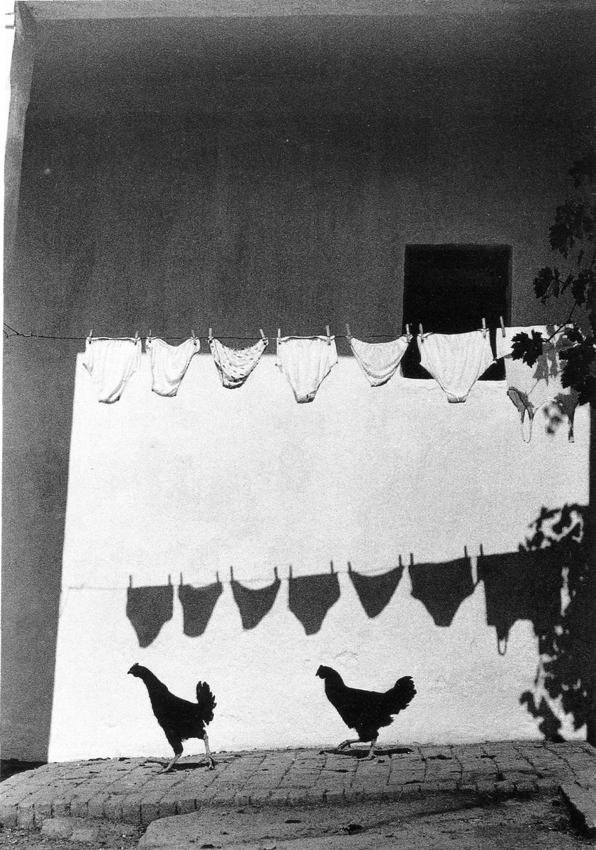 eyeonaxis's tweet photo. Bruno Bourel https://t.co/dGAtCDPuTj
