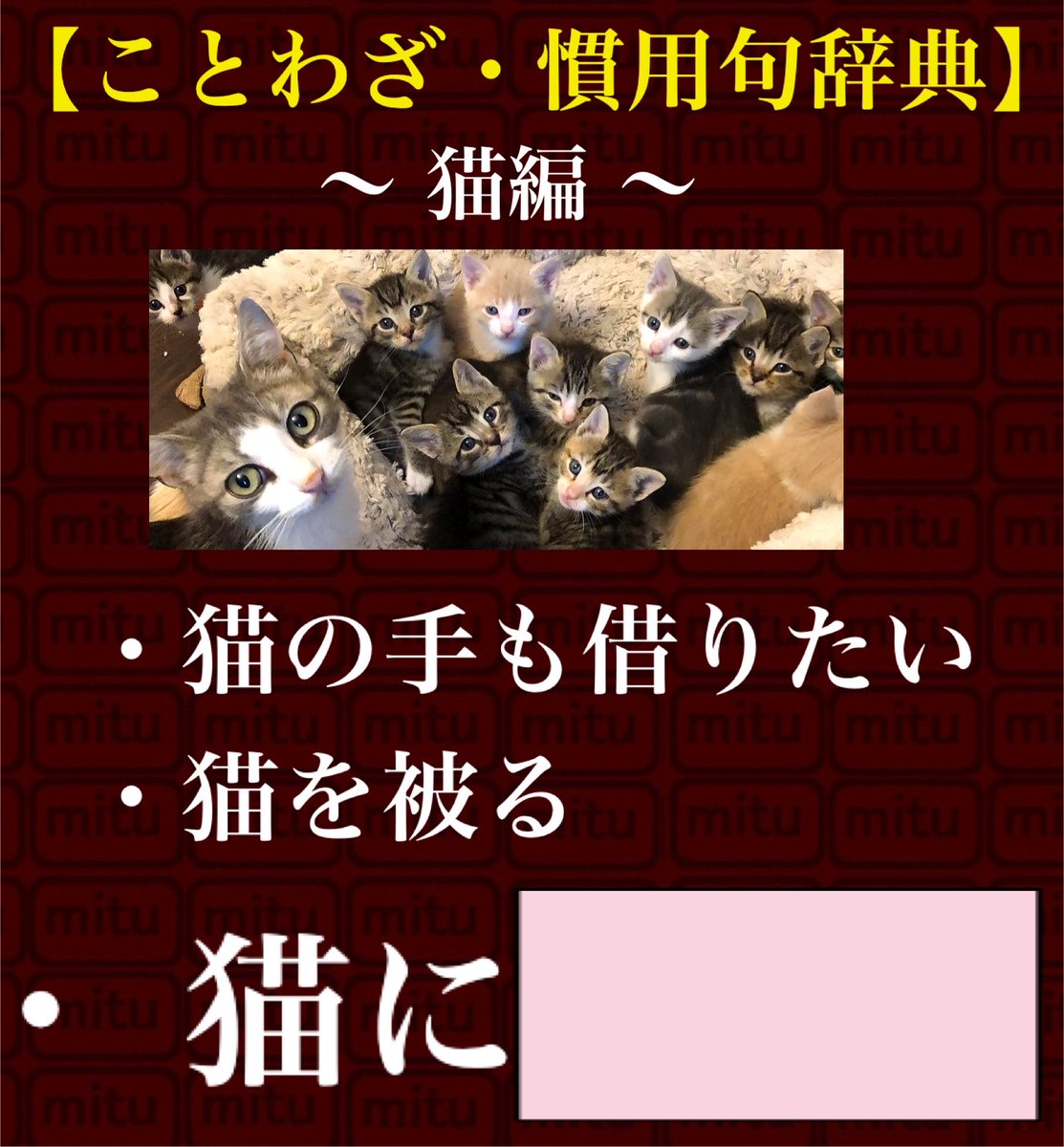SweetHeart_Mitu's tweet photo. ことわざ・慣用句辞典【猫編】
　
猫に...何ですか？🐈‍⬛ https://t.co/5dQxtvyEyJ