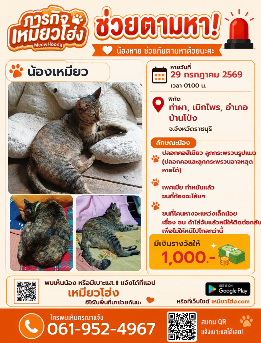 MeowHoongTH's tweet photo. แมวลายสลิด/กระดองเต่า เพศเมียทำหมันแล้ว

🔍 จุดจำ: ขนที่ท้องโล้นๆ + ขนโคนหางแหว่งเล็กน้อย

📍 ท่าผา / เบิกไพร อ.บ้านโป่ง จ.ราชบุรี รางวัล: 1,000 บาท

📞 โทร: 061-952-4967

👉 โหลดแอปฯ ได้ที่นี่: https://t.co/V4LnYPddLU

#เหมียวโฮ่ง #แมวหาย #ราชบุรี #บ้านโป่ง #ท่าผา https://t.co/BhJbS5zJvl