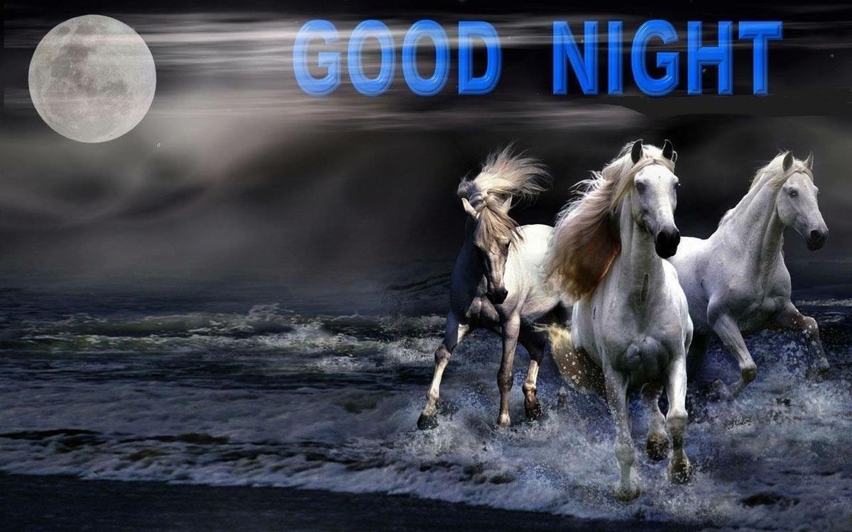 sbluellaaa's tweet photo. Goodnight oomfs lets hope i wake up https://t.co/NdS9FdfW27