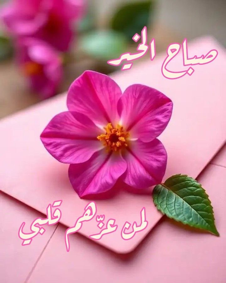 Noof37548599522's tweet photo. #صباح_الخير_والسعادة لمن يزهرون في قلوبنا حبًا،
ولمن تبقى ذكراهم أجمل من كل شيء،
صباحكم سعادة لا تنتهي 🌺 https://t.co/ouc4R6dHmk